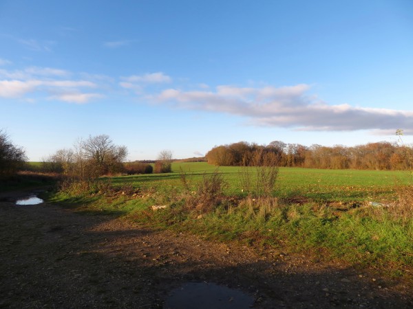 Les parcelles agricoles de grande culture sur le plateau.