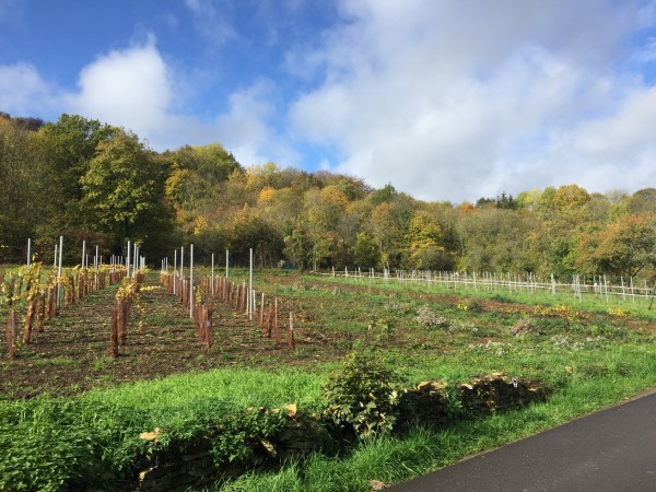 Les paysages de Lorry-lès-Metz. (photo apportée par les représentants de la commune)