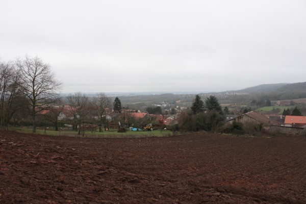Parcelles cultivées à proximité immédiate du centre ancien.