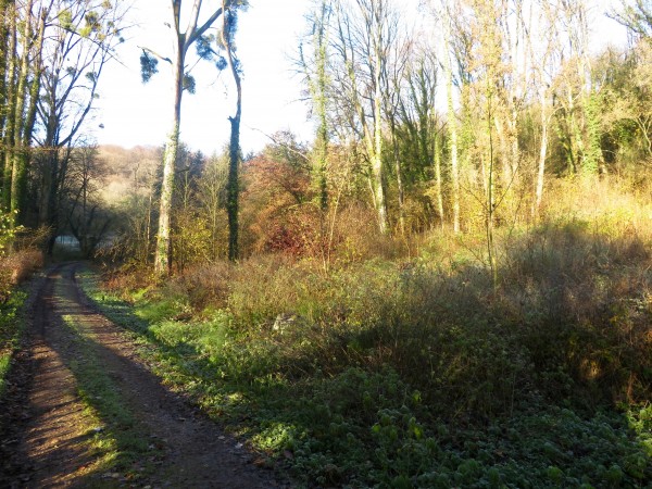 Les fonds de Vaux et leurs parcelles boisées.