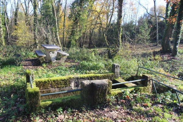 Un espace de pique-nique dans les bois en bord de chemin