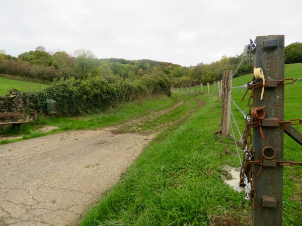 Les parcelles en bordure de la route du col sont maintenues ouvertes par du pâturage.