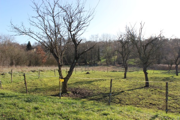 À Plappeville, des espaces ouverts en pied de coteau.