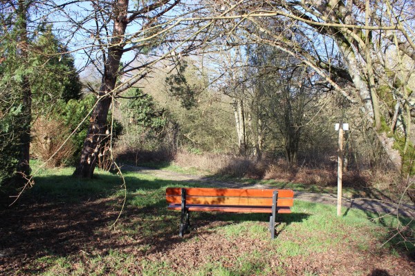 Un banc tourné face à la friche.