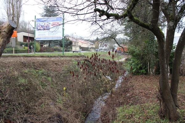 Entre le village et la D603, le ruisseau se fraye un chemin et semble oublié.