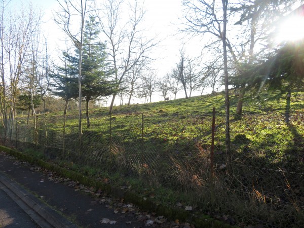 À l'entrée de Sainte-Ruffine, une parcelle pâturée.