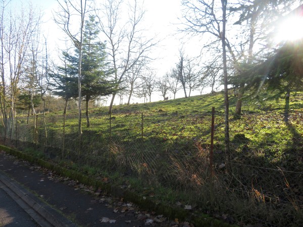 À l'entrée de Sainte-Ruffine, une parcelle pâturée.