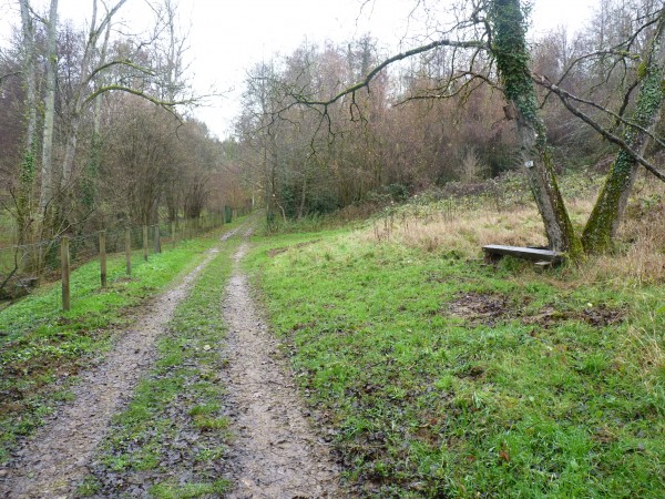 En fond de vallon, le sentier le long du Rhône