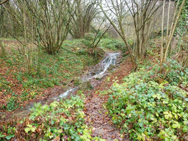 La cascade du moulin