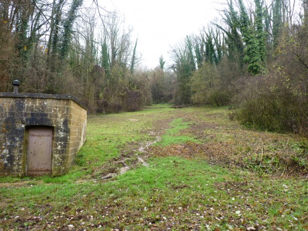 La parcelle dégagée du captage