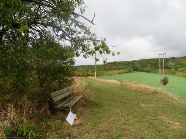 Le belvédère