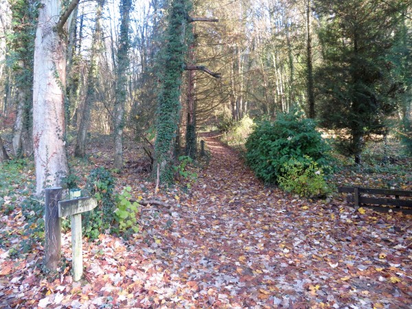 Question de la gestion et de l'entretien des parcelles boisées autour du village. La signalétique ne semble plus guider les promeneurs depuis un moment déjà.