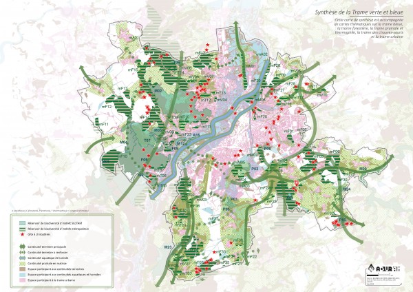 Carte de synthèse de la trame vert et bleue