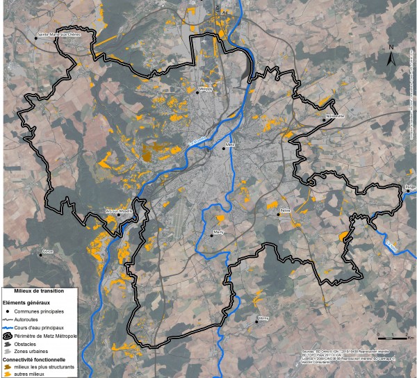 Carte de localisation des milieux de la sous-trame milieux en transition, rapport TVB.