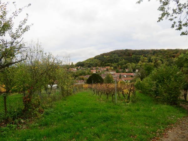 La forêt de Vaux sur le haut de côte à Vaux.
