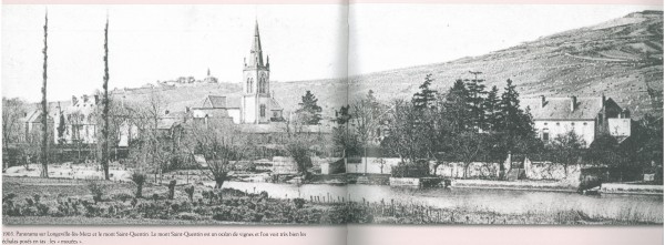 Panorama sur Longeville-lès-Metz et le mont Saint-Quentin. Le mont Saint-Quentin est un océan de vignes et l'on voit très bien les échalas posés en tas : les