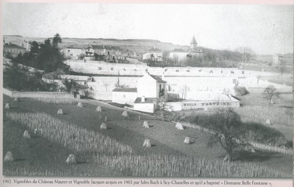 Vignobles du Château Maurer et Vignobles Jacquin acquis en 1902 par Jules Buch à Scy-Chazelles et qu'il a baptisé