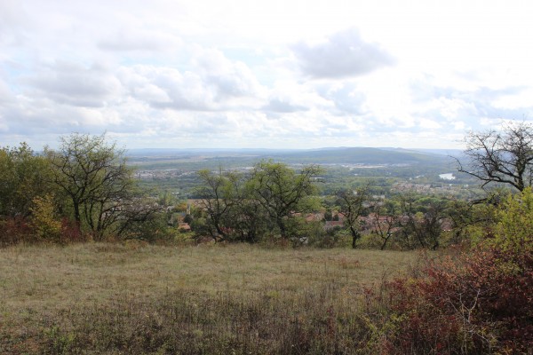 Depuis le haut du Mont Saint-Quentin, les versants s'enfrichent progressivement.