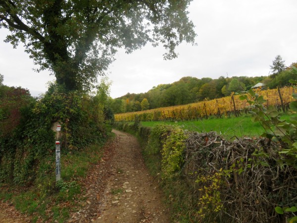 Un chemin balisé par le GR5 à Vaux.