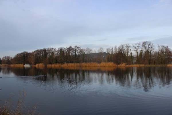 Le Mont Saint-Quentin depuis les bords du canal à Metz.