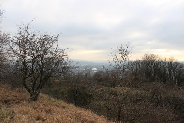 …depuis les hauteurs du Fort Girardin…