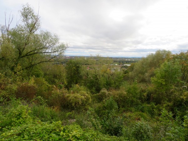 Depuis Scy-Chazelles, une vue sur le grand paysage qui tend à se refermer.