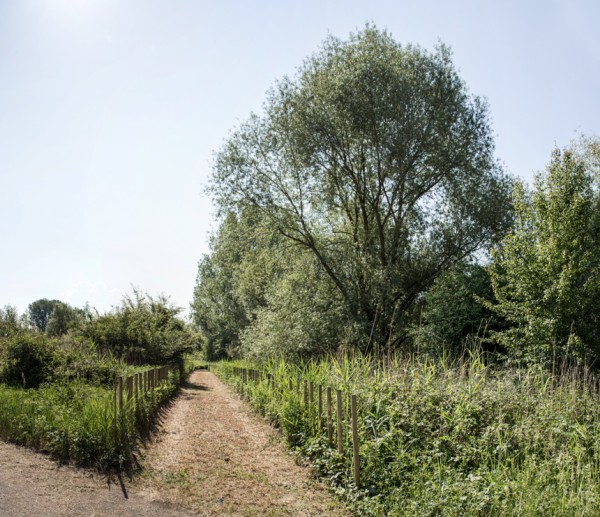 Chemins ras de sol - Travail sur la linéarité avec un dispositif simple composé de piquets disposé de façon régulière pour créer un cheminement à travers les milieux à Battaville (Moselle), Le Laboratoire du Dehors