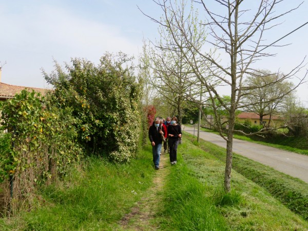 Aménagement d’une surlargeur sur la RD41 en sortie du bourg de La Romieu (Gers). Création d’une surlargeur (environ 200 m linéaire) pour séparer les modes de déplacement permettre aux piétons de marcher à l’écart de la route : aménagement en surplomb, rachat d’une bande de terrain aux agriculteurs propriétaires des parcelles attenantes, aménagement d’un lieu de pause avec point de vue sur les paysages agricoles gerçois et panneau d’interprétation. (Crédits : Monono)