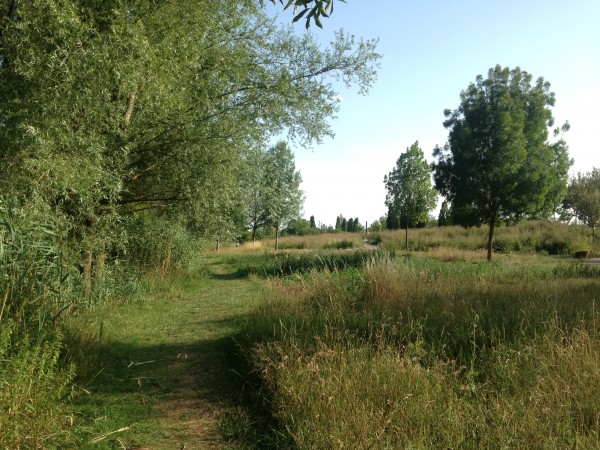 Parc de la Seille, Metz (crédit : Omnibus)