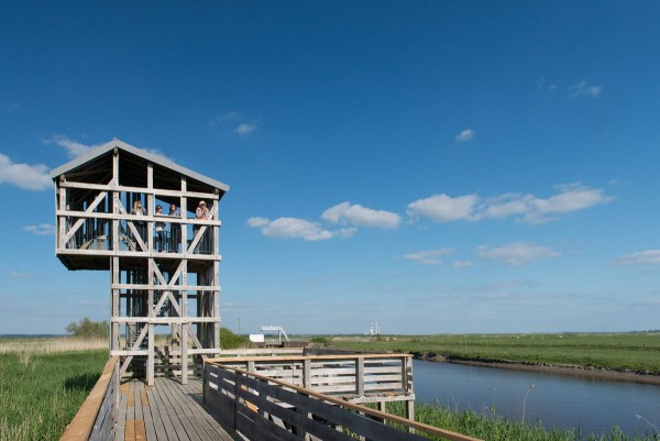 L’Observatoire, installation pérenne dans le cadre du festival Estuaire (Nantes Métropole), Tadashi Kawamata Tout commence par une passerelle, à peine perceptible au cœur des roselières, qui vous invite à partir pour une découverte d’un milieu atypique. C’est dans le cadre de la manifestation Estuaire Nantes Saint-Nazaire 2007 que l’artiste japonais Tadashi Kawamata, séduit par les lieux, conçoit une tour en bois au milieu des prairies inondables. Juché dans « l’Observatoire », le regard embrasse, à 360°, les marais, la Loire, les cheminées de la centrale électrique de Cordemais, le pont de Saint-Nazaire et le village de Lavau-sur-Loire. Pour y accéder un cheminement perché à 40 cm du sol sur près de 800 m invite à une immersion dans une nature jusque-là inaccessible. Vous vivrez un véritable dépaysement au naturel en cheminant sur cette passerelle qui relie le village aux bords de Loire et à ses îles où la faune et la flore cohabitent avec le visiteur. La sensation unique de marcher au-dessus des terres humides invite au songe et au flottement. (texte extrait du site : http://www.estuairesillontourisme.fr) plus d’info : https://www.estuaire.info/fr/oeuvre/l-observatoire-tadashi-kawamata - Crédit photo : P. Dorizon
