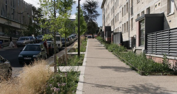 De longues bandes plantées, des fosses généreuses - à Bourges