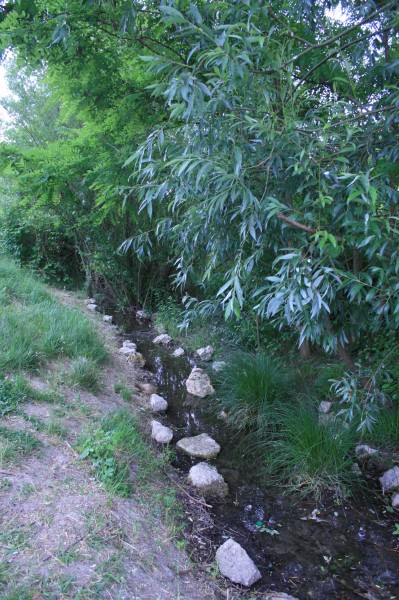 Des berges renforcées ; Amiens - Hortillonages (crédit : Omnibus)