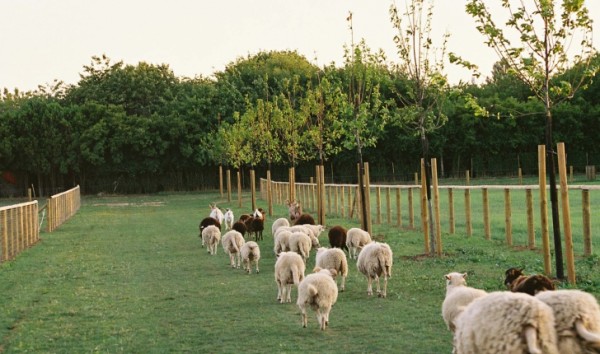 Parc des lilas à Vitry-sur-Seine (Val-de-Marne) : Collection exceptionnelle de 800 variétés de lilas, grands champs dédiés aux cultures de céréales, verger de pommiers à cidre, enclos réservés aux animaux d’une association, petites serres servent de modules d’accueil et d’abris, nombreux jardins familiaux situés au sud-est du parc.