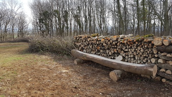 Du mobilier conçu avec des ressources provenant du site lui-même - profiter d’un chantier d’abattage pour créer du mobilier ; un mobilier issu du site, un coût réduit, une invitation à la créativité !