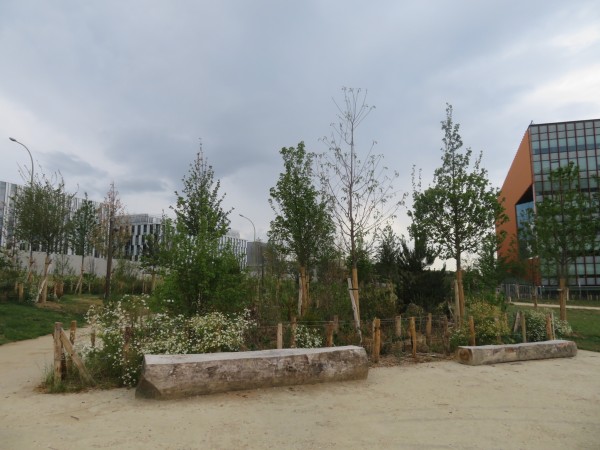 Du mobilier conçu avec des ressources provenant du site lui-même - profiter d’un chantier d’abattage pour créer du mobilier ; un mobilier issu du site, un coût réduit, une invitation à la créativité ! Banquette en grume dans la Forêt Linéaire à Paris 19e (crédit : monono)