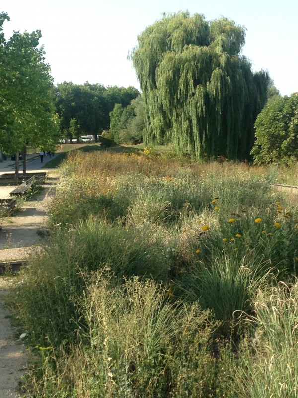 Parc de la Seille à Metz (crédit : Omnibus)