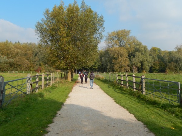 Chemins ras de sol - dans la série «Les allées font le jardin», faire appel à sa créativité ! : stabilisé, calcaire, copeaux, bois, briques, gravillons... adapter les matériaux à la fréquentation, aux moyens de gestion, aux moyens économiques, etc.