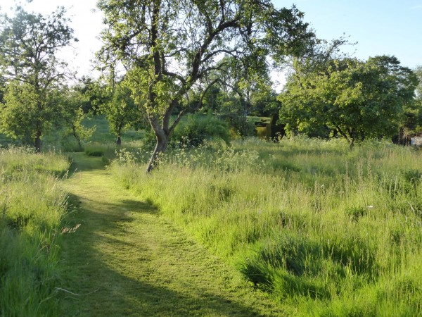 Prairie en gestion différenciée