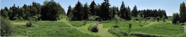 La Sapinière, une friche à Grigny. Une gestion des lieux évolutive par et pour les habitants 2010-14 Suivi de la convention de gestion de l’espace public de la Sapinière Grigny (Essonne) Communauté d’Agglomérations des Lacs de l’Essonne (CALE) Clément Berthollet, Alexandre Malfait, Marjorie Masseglia, Jeanne Roche, et François Roumet, professeur encadrant Après avoir participé, en première année à l’Ecole Nationale Supérieure de Versailles, à l’atelier « Conduire le vivant, le droit à l’erreur », dont l’objectif est la transformation d’une friche en un espace public accueillant, quatre camarades de classe, dont Jeanne Roche, encadrés par François Roumet, décident de suivre l’évolution de leur intervention. La démarche consiste alors à mettre en œuvre un projet de paysage au travers d’une gestion collective, créative, d’une pratique simple et économe du jardinage sous la forme d’aménagements réversibles (jardinage collectif, plessage de haies, structures et mobiliers en bois, définition par fauches évolutives des différents espaces …), avec les ressources humaines et matérielles en place. L’objectif étant de tendre vers une autogestion évolutive du lieu par et pour les habitants. Et ce, par le biais de chantiers ouverts et de rencontres in situ. L’association Clinamen regroupant des bergers urbains, était partenaire de l’opération. (crédit : Omnibus)