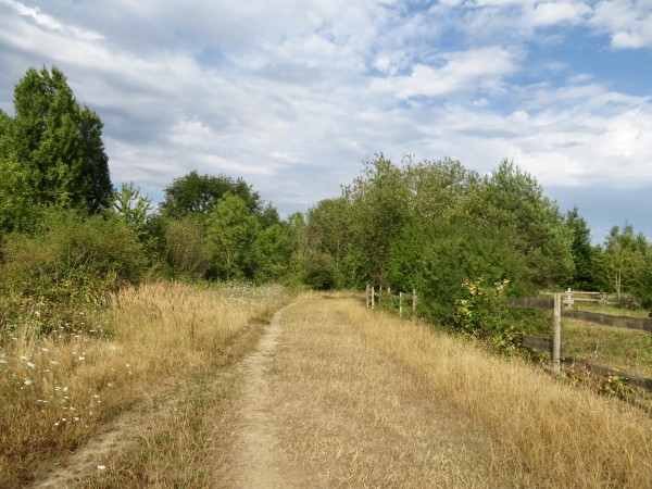 La Plaine des Bordes, à Chennevière -sur-Marne : un espace public naturel, propriété du Département, géré par un troupeau d’ânesse parqué derrière des grandes parcelles pâturées entre lesquelles des sentiers larges et luxuriant permettent la déambulation. Le lait sert à la confection de savons vendus sur place. (crédit : Monono)