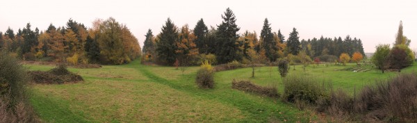 La Sapinière, une friche à Grigny Une gestion des lieux évolutive par et pour les habitants 2010-14 Suivi de la convention de gestion de l’espace public de la Sapinière Grigny (Essonne) Communauté d’Agglomérations des Lacs de l’Essonne (CALE) Clément Berthollet, Alexandre Malfait, Marjorie Masseglia, Jeanne Roche, et François Roumet, professeur encadrant Après avoir participé, en première année à l’Ecole Nationale Supérieure de Versailles, à l’atelier « Conduire le vivant, le droit à l’erreur », dont l’objectif est la transformation d’une friche en un espace public accueillant, quatre camarades de classe, dont Jeanne Roche, encadrés par François Roumet, décident de suivre l’évolution de leur intervention. La démarche consiste alors à mettre en œuvre un projet de paysage au travers d’une gestion collective, créative, d’une pratique simple et économe du jardinage sous la forme d’aménagements réversibles (jardinage collectif, plessage de haies, structures et mobiliers en bois, définition par fauches évolutives des différents espaces …), avec les ressources humaines et matérielles en place. L’objectif étant de tendre vers une autogestion évolutive du lieu par et pour les habitants. Et ce, par le biais de chantiers ouverts et de rencontres in situ. L’association Clinamen regroupant des bergers urbains, était partenaire de l’opération. (crédit : Omnibus)