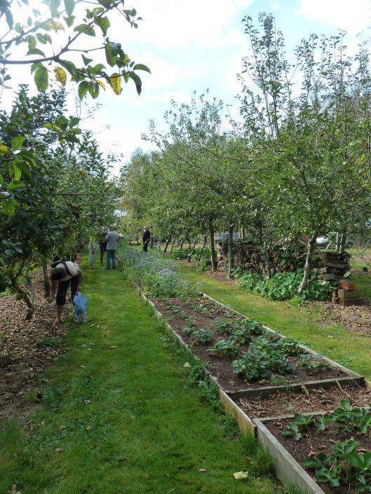Concilier arboriculture et maraîchage