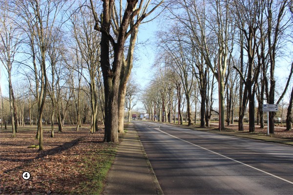 Photo 4 (voir schéma des OQP)
