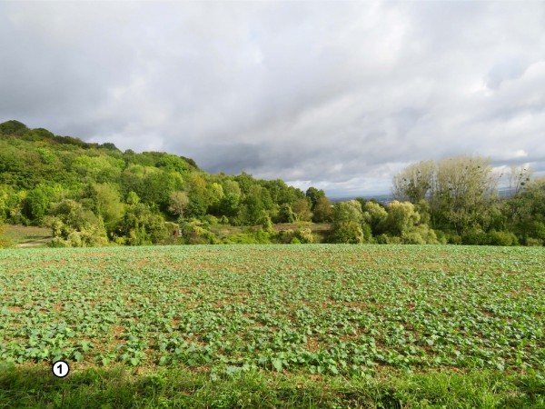 Photo 1 (voir schéma des OQP)