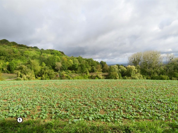 Photo 1 (voir schéma des OQP)